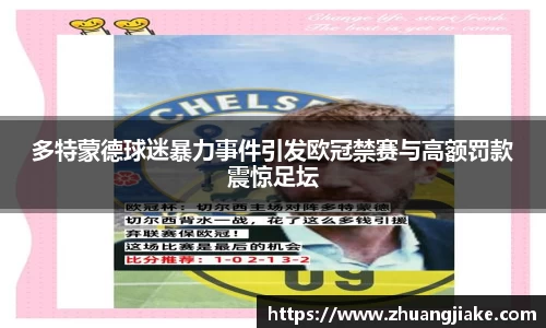 多特蒙德球迷暴力事件引发欧冠禁赛与高额罚款震惊足坛